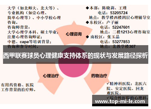 西甲联赛球员心理健康支持体系的现状与发展路径探析