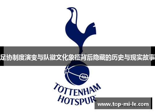 足协制度演变与队徽文化象征背后隐藏的历史与现实故事 足协制度演变与队徽文化象征背后隐藏的历史与现实故事