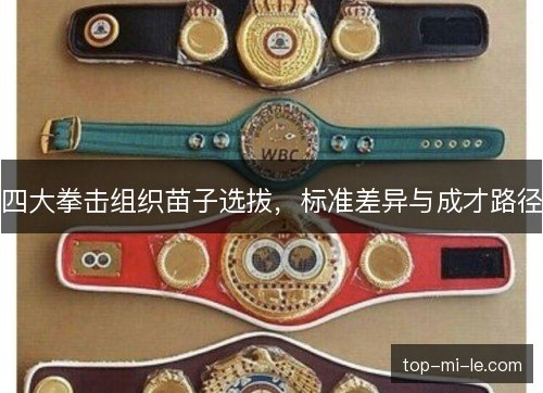 四大拳击组织苗子选拔，标准差异与成才路径